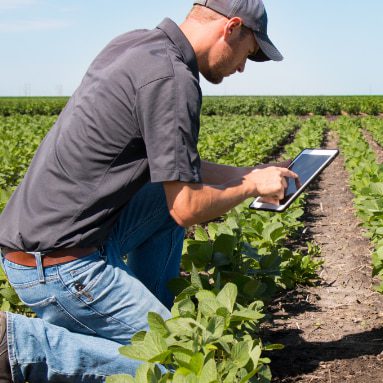 agstate-service-agronomy