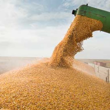 agstate-service-grain