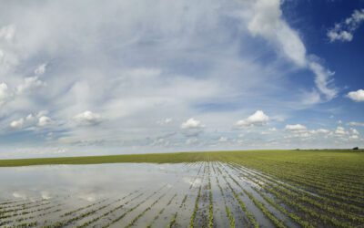 Agronomy Return Policy Update